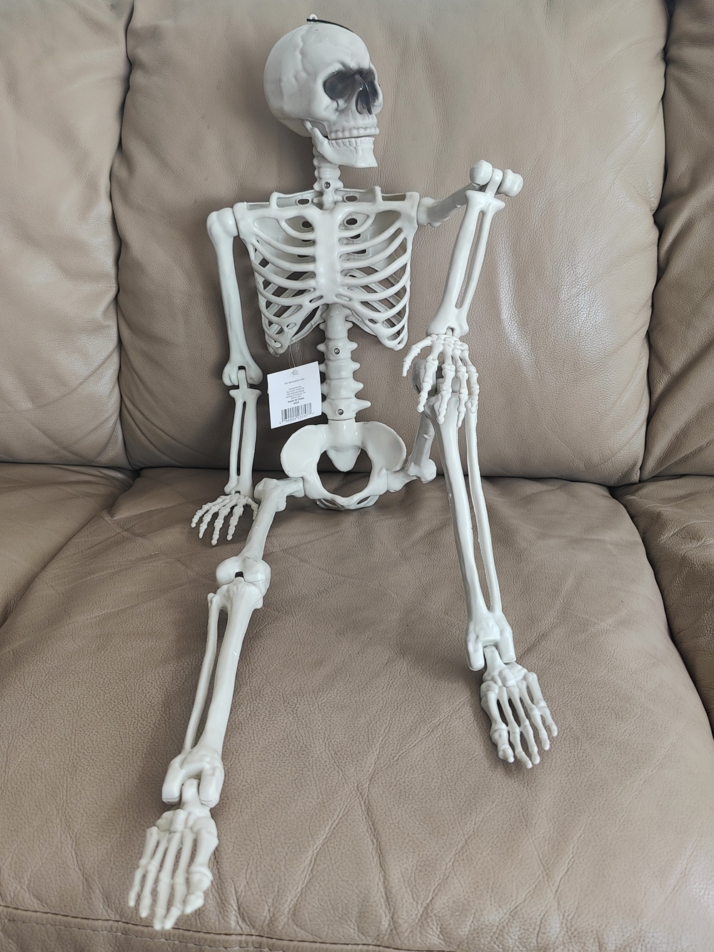 Life-Size Halloween Skeleton Decor - Off-White